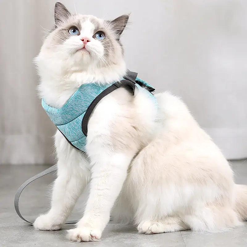 Cat Walking Harness & Leash – Outdoor Traction Rope