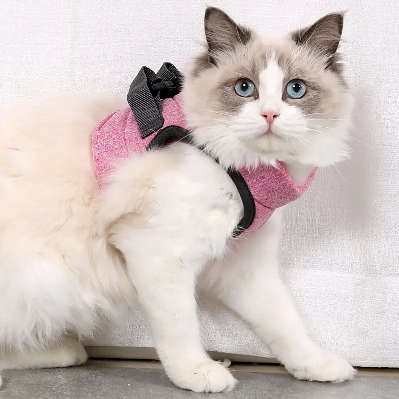 Cat Walking Harness & Leash – Outdoor Traction Rope