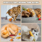 Organic Catnip Toys for Indoor Cats – 100% Pure Catnip, No Cotton, Plush Chew & Kicker Toys