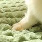 Cozy Avocado Dog Bed - Plush & Washable Pet Mat