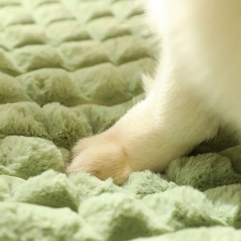 Cozy Avocado Dog Bed - Plush & Washable Pet Mat