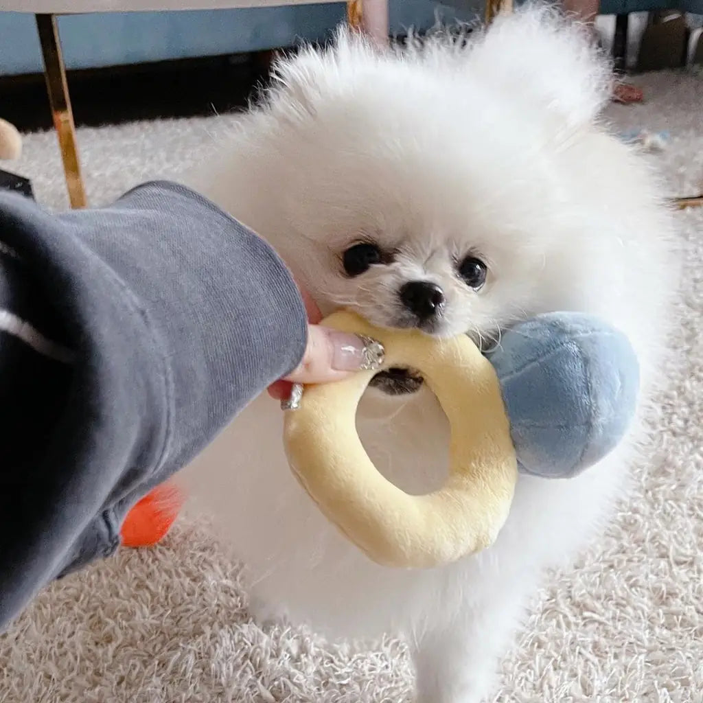 Interactive Dog Toy Ring – Voice Squeaker & Treat Dispenser