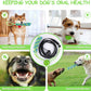 Dog Tug Toy – Teeth-Cleaning Chew Rope Pull Toy