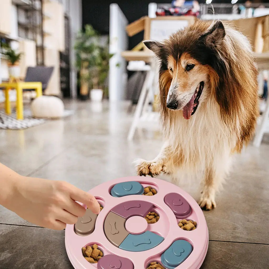 DR CATCH Dog Puzzle Toy | Sliding Treat IQ Game for Mental Enrichment