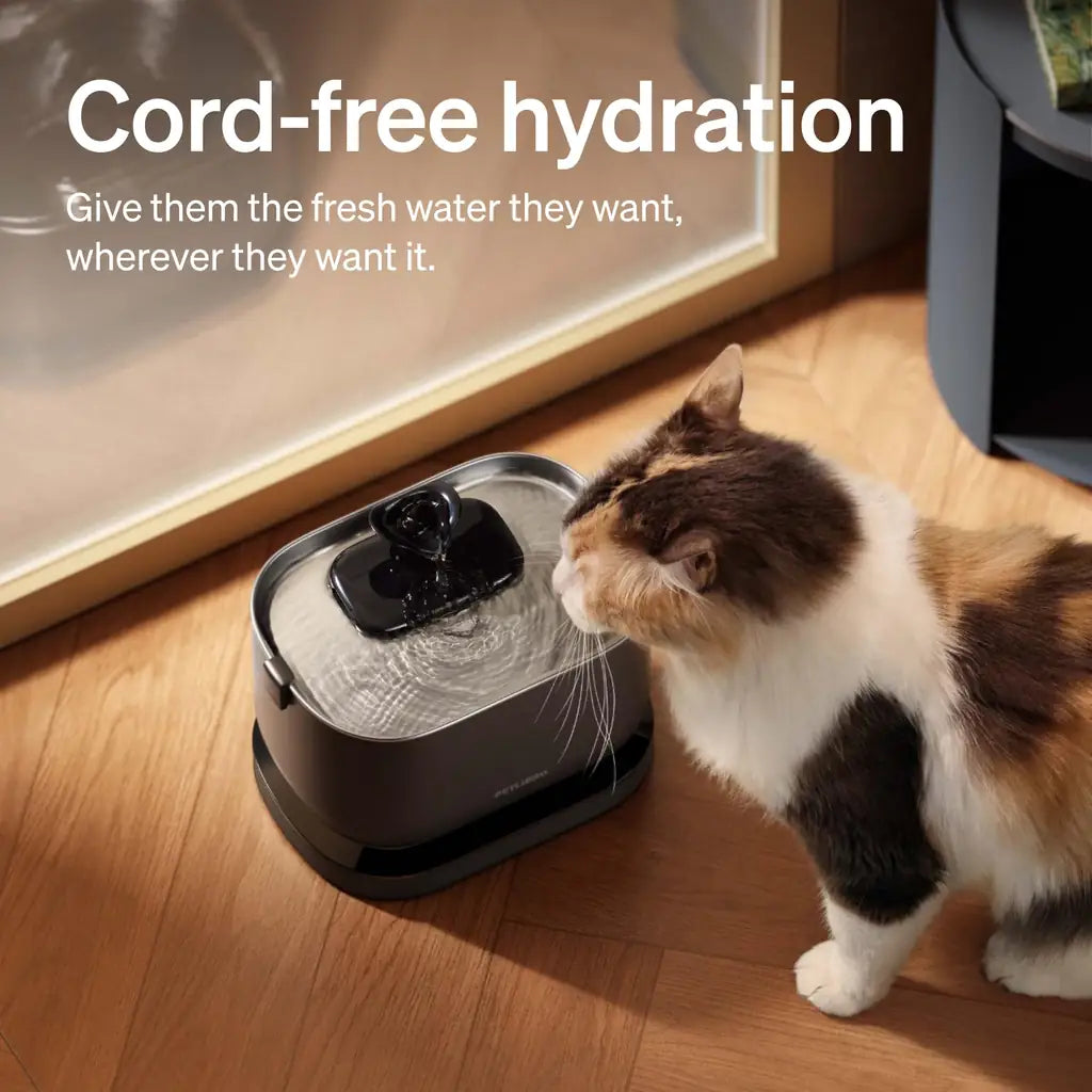 PETLIBRO Cordless Cat Water Fountain | 84oz Battery-Operated | Radar Sensor, 4-Stage Filter & SS Tray | Black