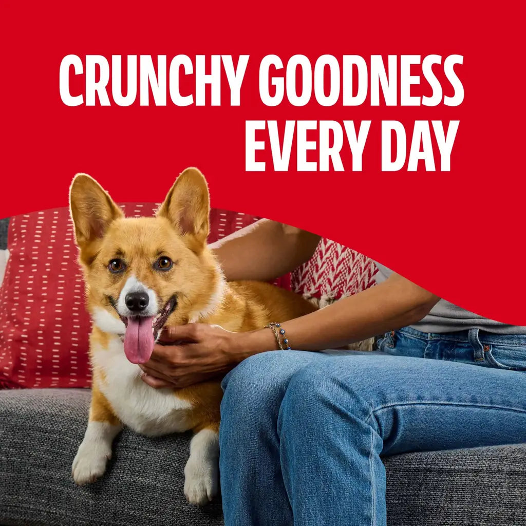 Milk-Bone Mini's Flavor Snacks | Mini Dog Treats | Beef, Chicken & Bacon | 2.25 lb, 15oz & Grab-and-Go Pouches