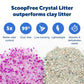 PetSafe ScoopFree Crystal Disposable Cat Litter — No-Scoop Refill Trays