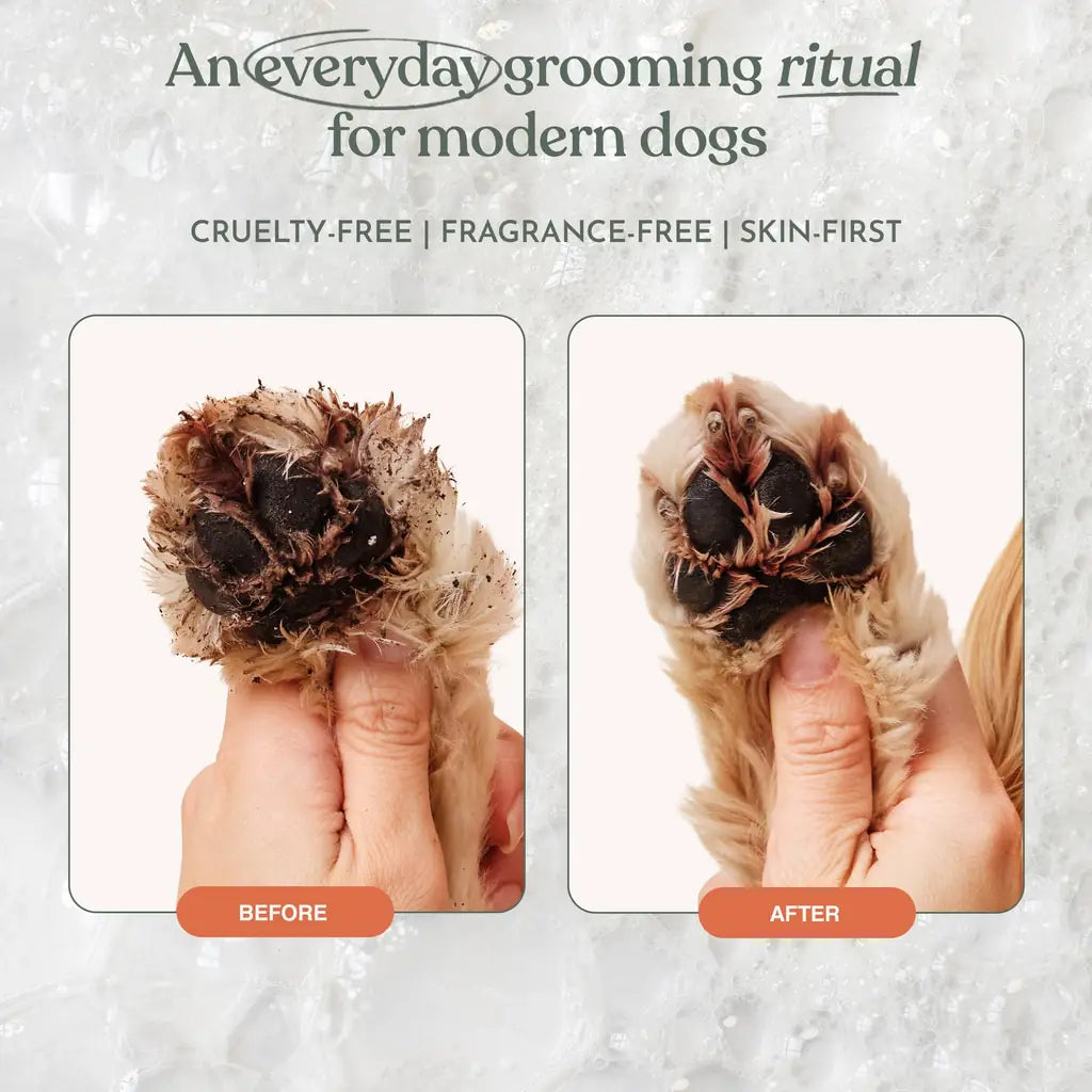 Dandylion No-Rinse Dog Paw Cleaner Fragrance-Free Foaming Spray