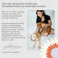 Dandylion No-Rinse Dog Paw Cleaner Fragrance-Free Foaming Spray