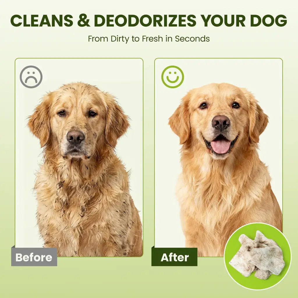 PawSono Hypoallergenic Pet Wipes for Dogs & Cats | Extra Large, Lick-Safe | Coconut Scented
