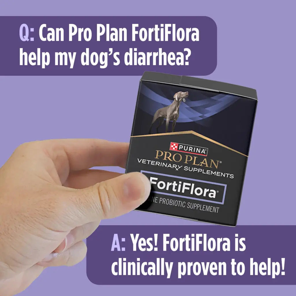 Dog Probiotics FortiFlora Daily Probiotic Supplement for Dogs — Purina Pro Plan Veterinary 30 ct