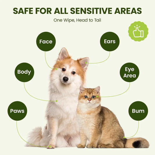PawSono Hypoallergenic Pet Wipes for Dogs & Cats | Extra Large, Lick-Safe | Coconut Scented