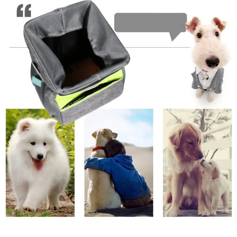 Bicycle Pet Carrier Bag – Portable Bike Basket for Dogs & Cats