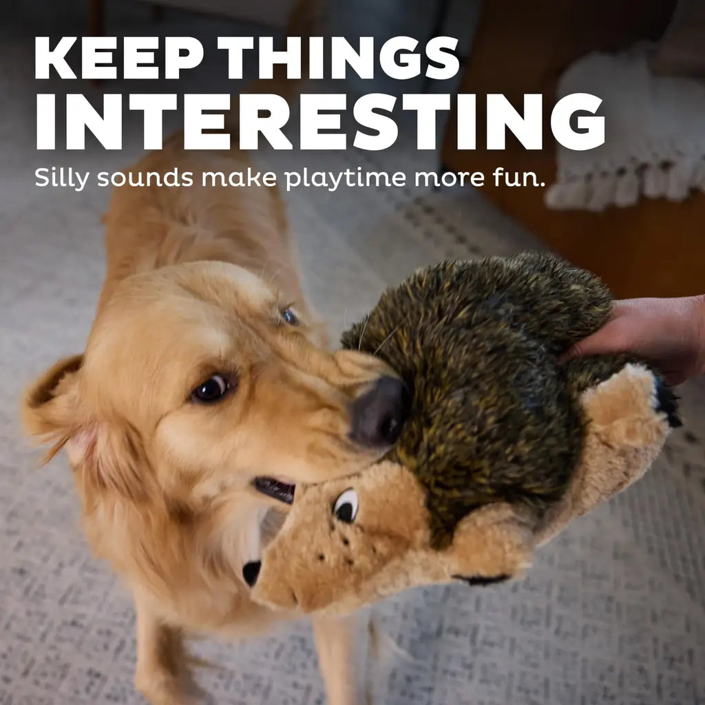 Outward Hound Hedgehogz Soft Plush Squeaky Dog Toy