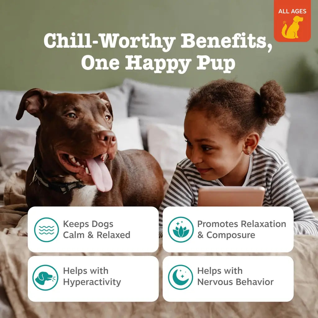 Calming Soft Chews for Dogs – Zesty Paws Lil Zesties Smoked Chicken