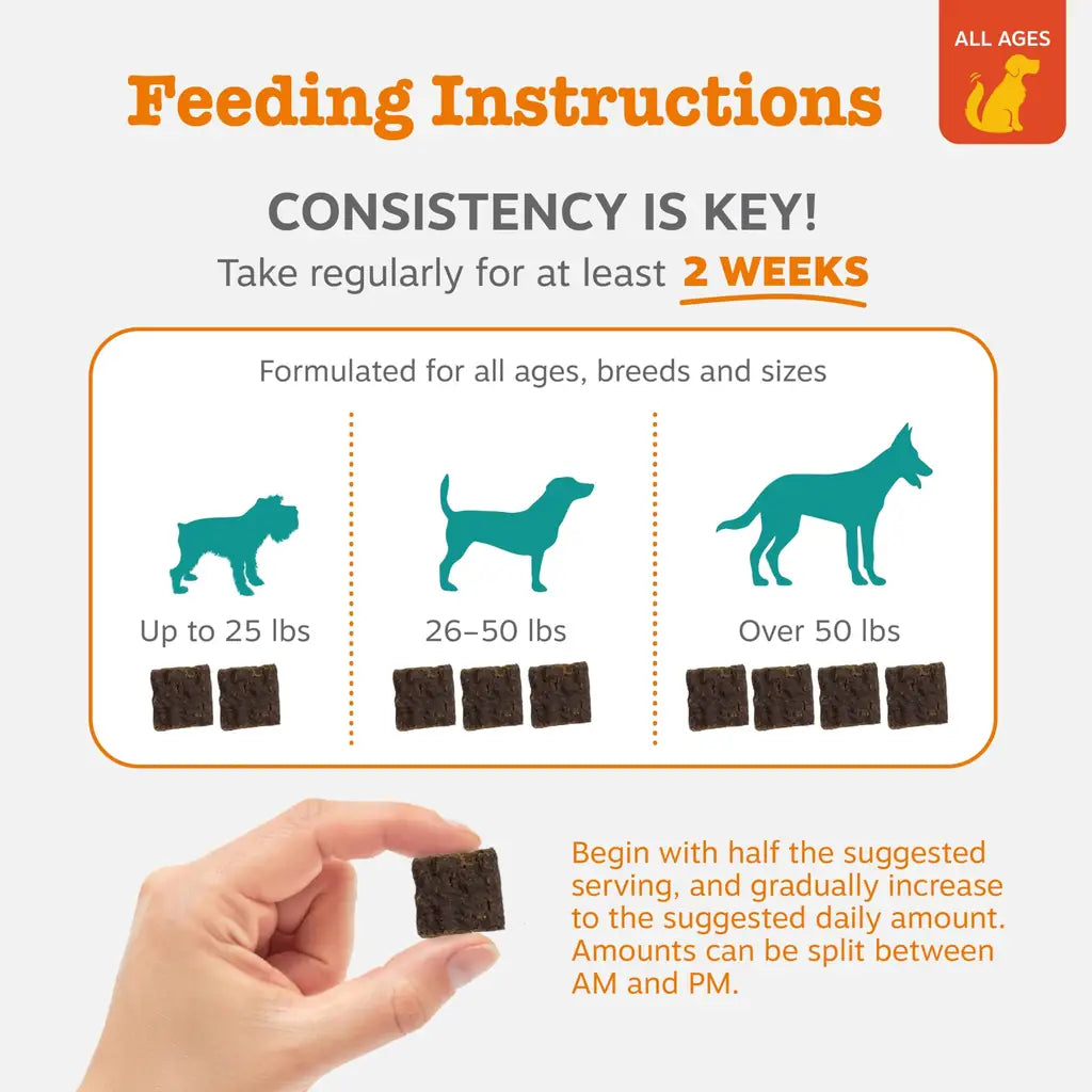 Calming Soft Chews for Dogs – Zesty Paws Lil Zesties Smoked Chicken