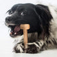 Nylon Chew Toy:Dental Tough for Aggressive Chewers 2026