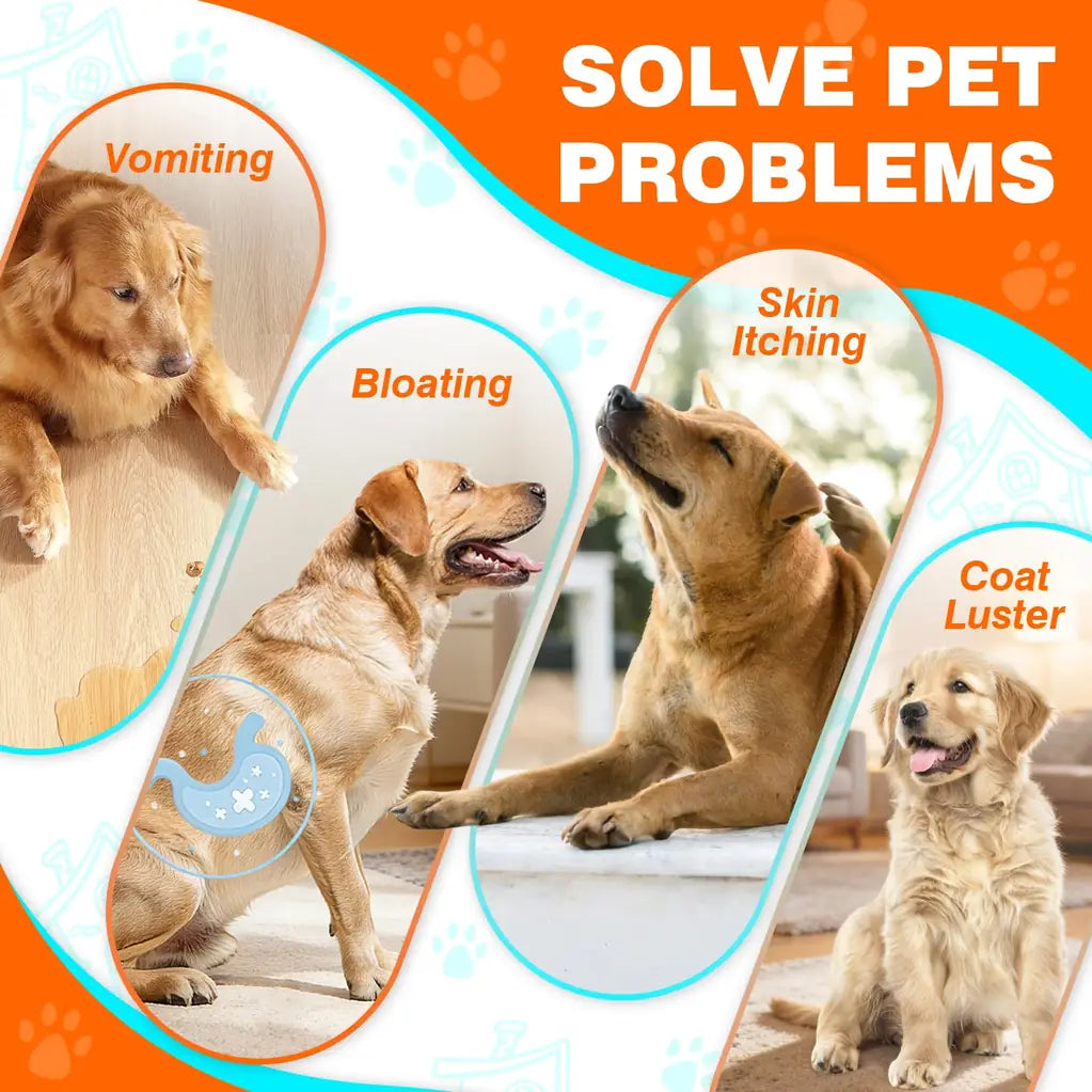 Probiotics for Dogs – Digestive Health, Gut Support & Immune Boost | Chicken Flavor 50ct | TTLXBL
