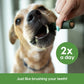 Ark Naturals Brushless Toothpaste, Dog Dental Chews for Small Breeds, Freshens Breath, Helps Reduce Plaque & Tartar, 12oz, 1 Pack