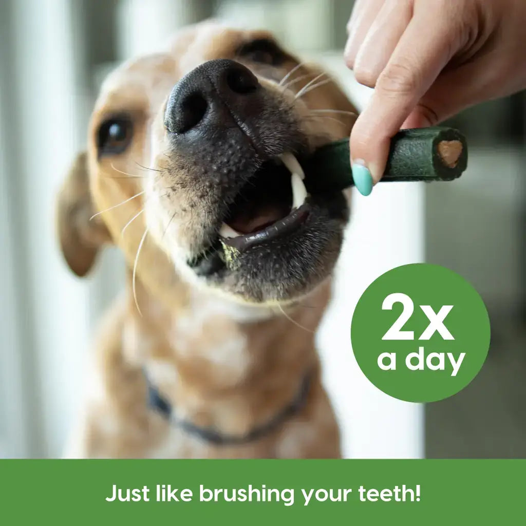 Ark Naturals Brushless Toothpaste, Dog Dental Chews for Small Breeds, Freshens Breath, Helps Reduce Plaque & Tartar, 12oz, 1 Pack