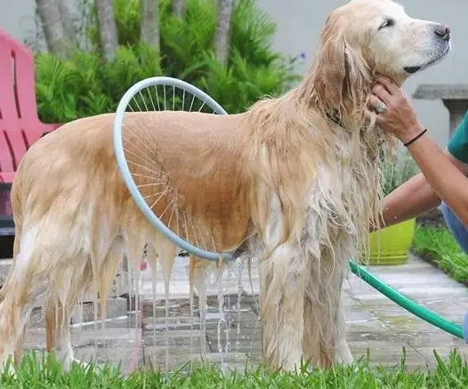 Dog Bathing Tool – Pet Shower & Massage Brush