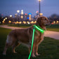 Luminous Dog Lead | Rechargeable Glowing Leash