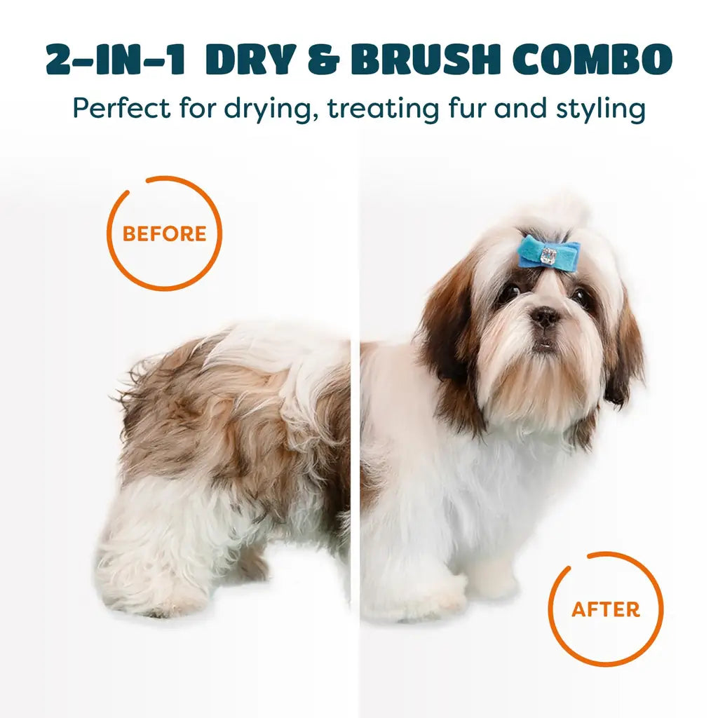 2-in-1 Hot Air Pet Hair Dryer & Comb – Grooming Tool for Cats & Dogs