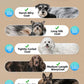 OCPEET Dog Grooming Kit | Low Noise Cordless Clippers for Dogs & Cats