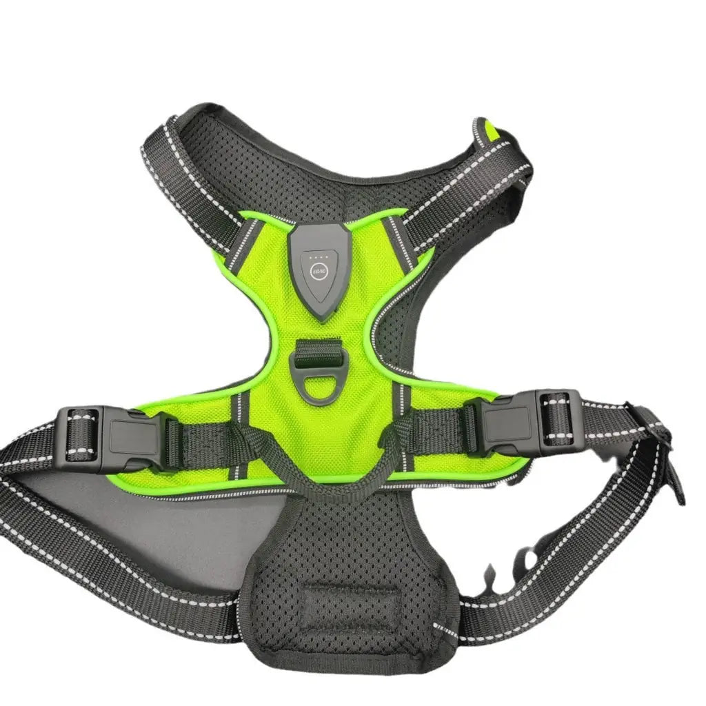 LED Dog Harness with Lights - Rechargeable Light Up Vest & Leash Set (USB Charging)