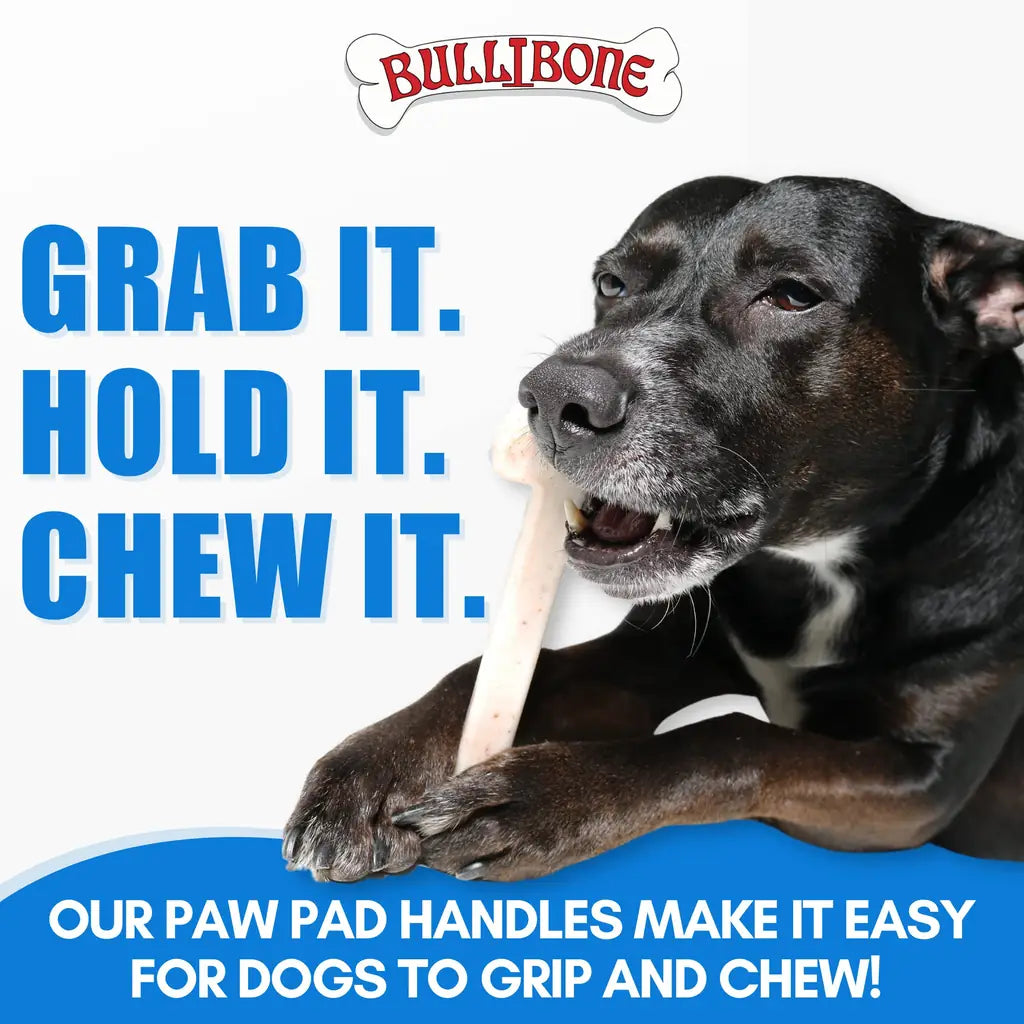 Nylon Chew Toy:Dental Tough for Aggressive Chewers 2026