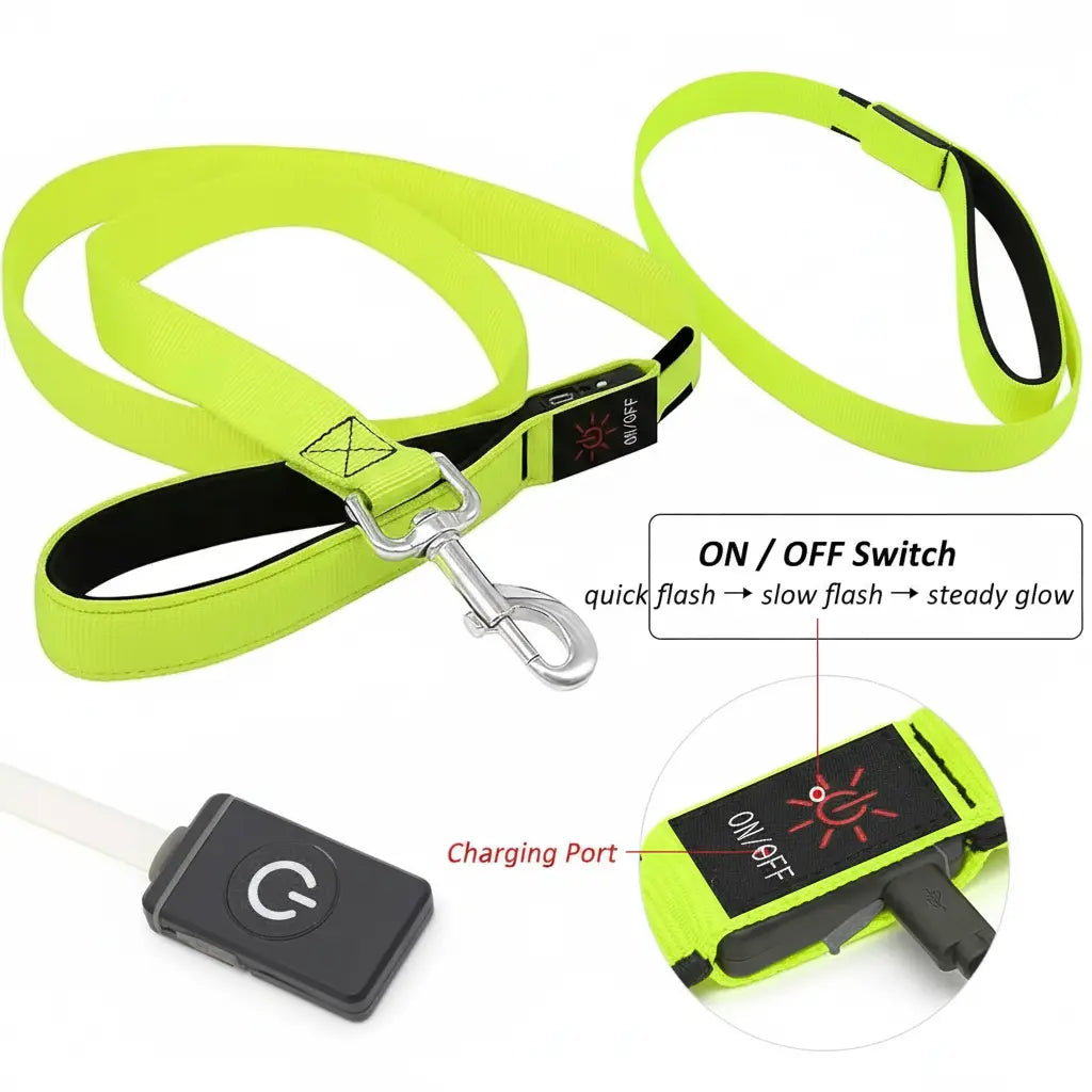 Luminous Dog Lead | Rechargeable Glowing Leash