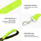 Luminous Dog Lead | Rechargeable Glowing Leash