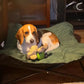 Portable Folding Pet Camp Bed – Outdoor Travel Mattress