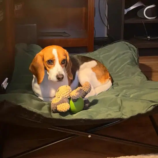 Portable Folding Pet Camp Bed – Outdoor Travel Mattress
