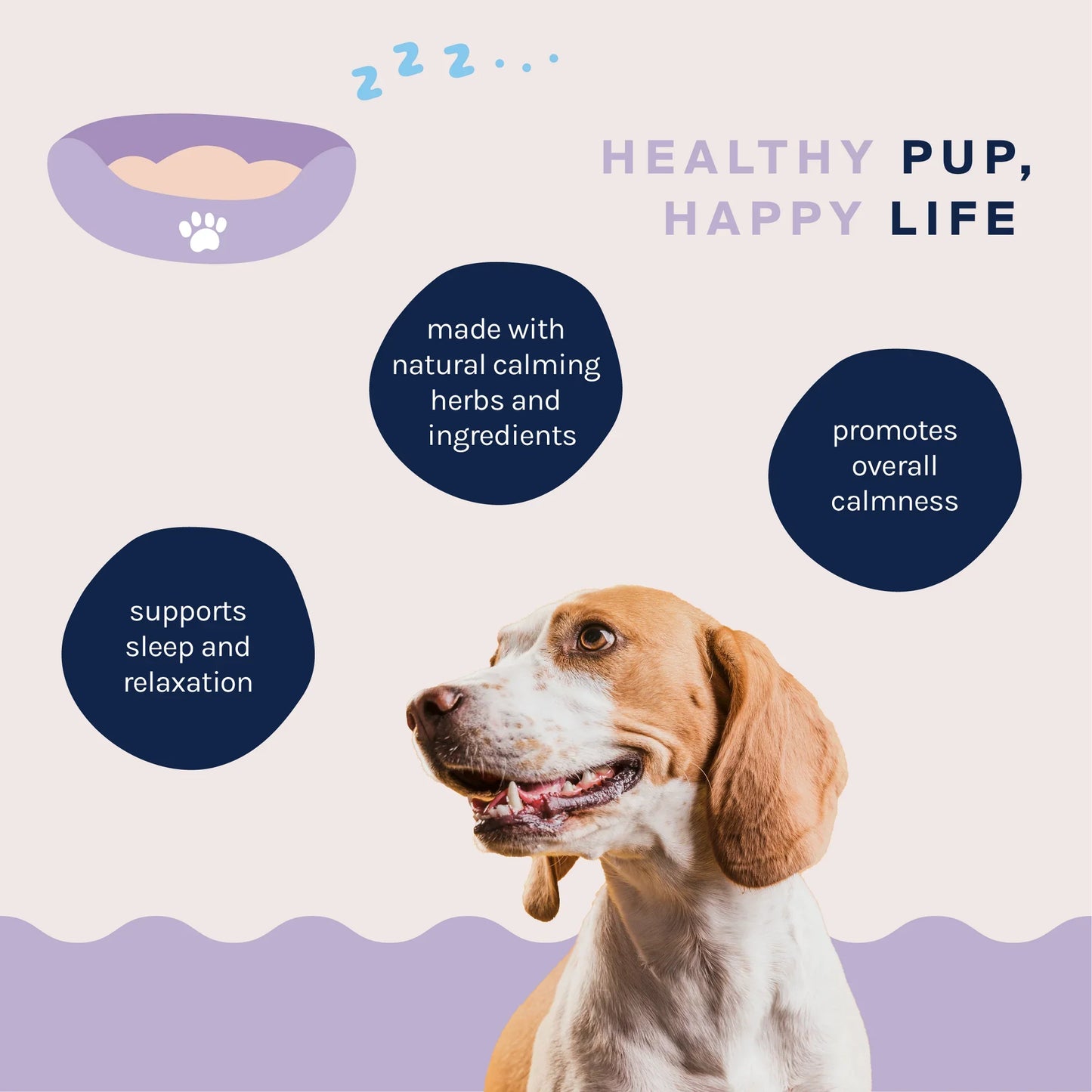Good Trouble Pets Calming Supplement – Fruit Blend Flavor (30 Chews)