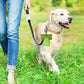 Eco-Friendly Dog Poop Bags – Corn Starch Biodegradable & PLA Compostable Pet Waste Bags (Leak-Proof)