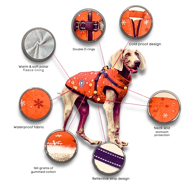 Reflective Cotton Dog Jacket – Warm & Safe Winter Coat for Pets