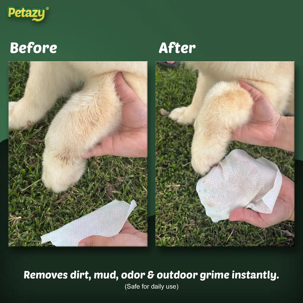 Pet Wipes for Dogs & Cats | XL 8x8in | Hypoallergenic | Chamomile, Lavender or Unscented
