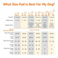 Disposable Dog Training Pads – 5-Layer Leak-Proof Puppy Pee Pads