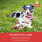 Lamb Chop Dog Plush Toy - Squeaky Toy for Small & Medium Dogs