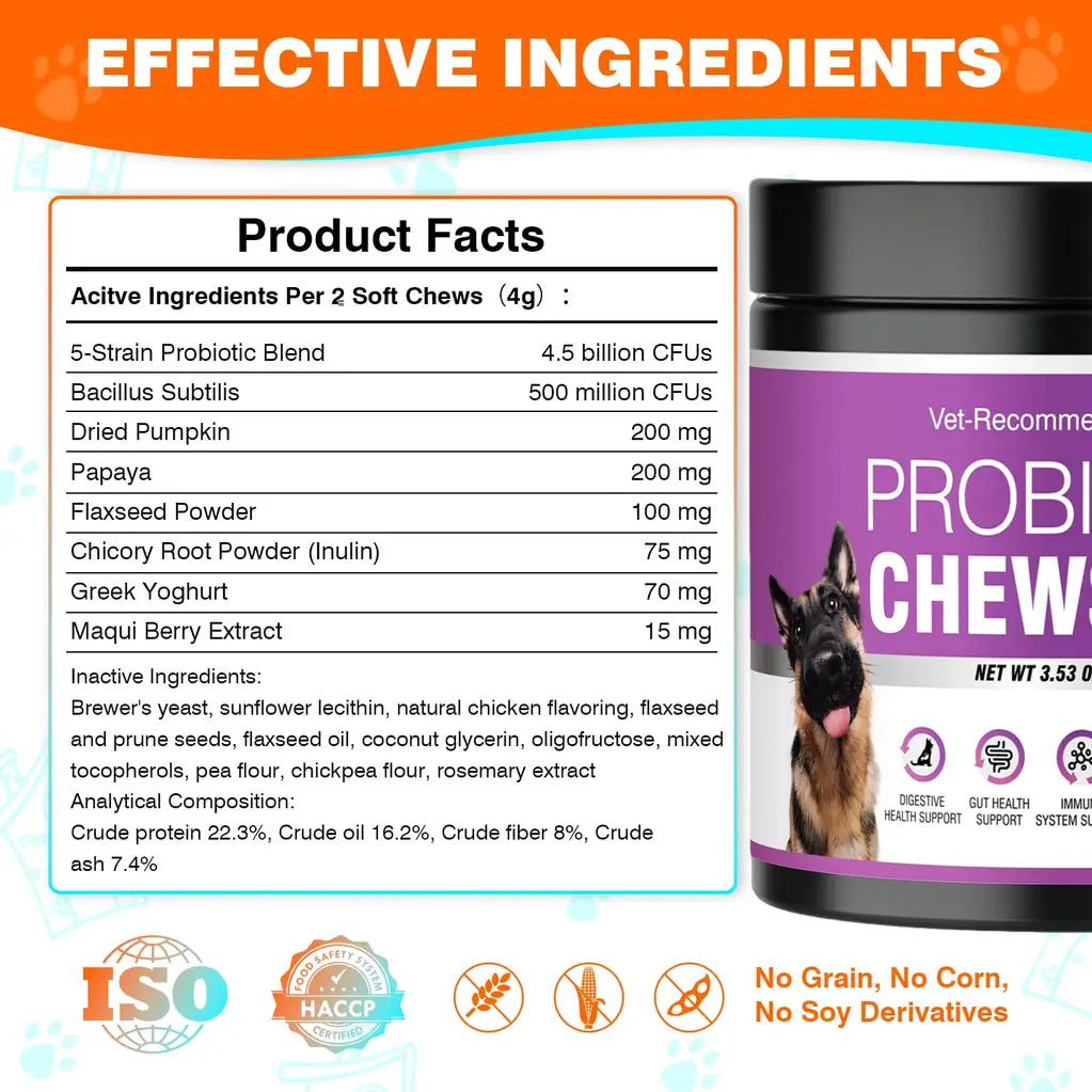 Probiotics for Dogs – Digestive Health, Gut Support & Immune Boost | Chicken Flavor 50ct | TTLXBL