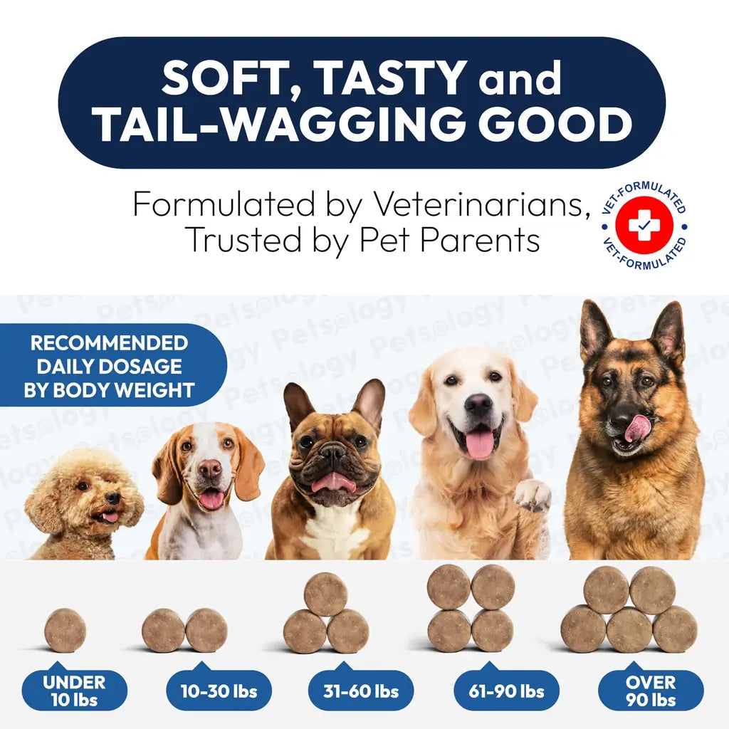 Petsology Probiotic Chews for Dogs – 250 Count | Digestive Enzymes, Prebiotics & Gut Health