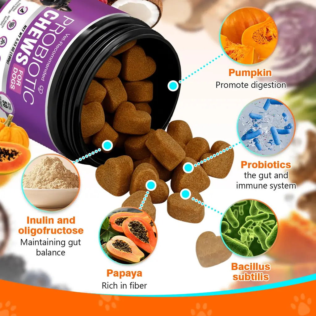 Probiotics for Dogs – Digestive Health, Gut Support & Immune Boost | Chicken Flavor 50ct | TTLXBL