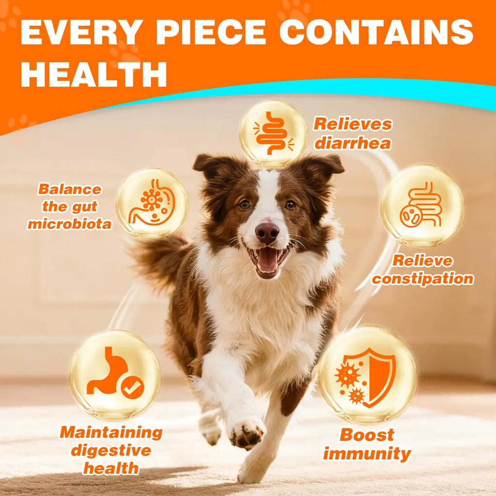 Probiotics for Dogs – Digestive Health, Gut Support & Immune Boost | Chicken Flavor 50ct | TTLXBL