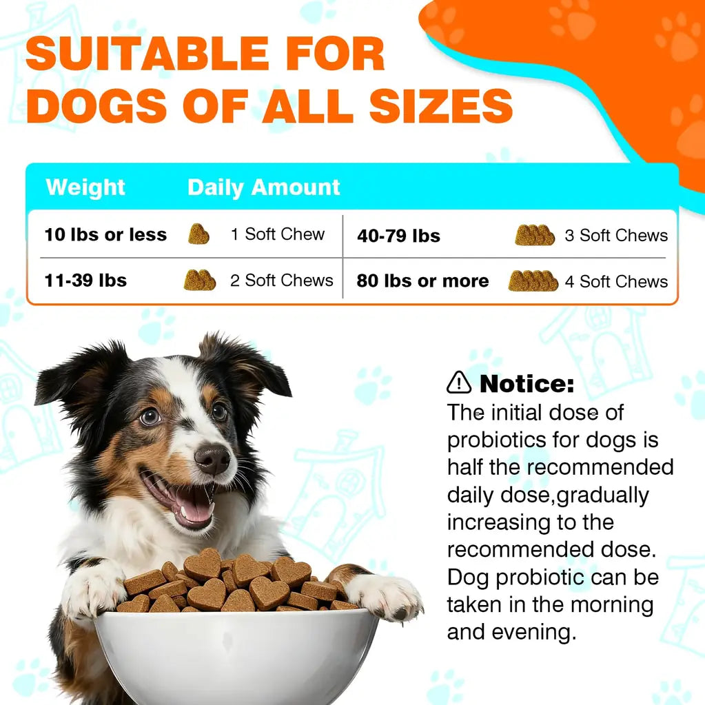 Probiotics for Dogs – Digestive Health, Gut Support & Immune Boost | Chicken Flavor 50ct | TTLXBL
