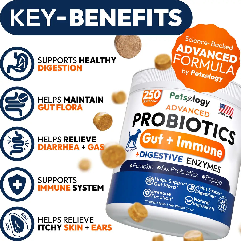 Petsology Probiotic Chews for Dogs – 250 Count | Digestive Enzymes, Prebiotics & Gut Health