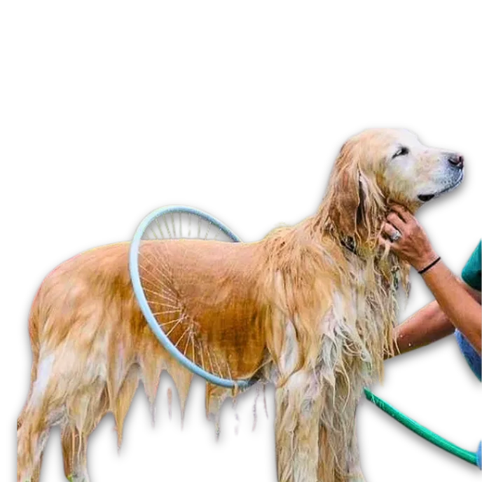 Dog Bathing Tool – Pet Shower & Massage Brush
