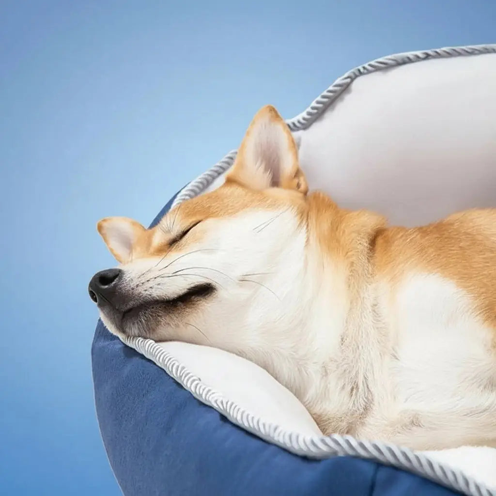 Deep Sleep Crate Pad - Removable & Warm Pet Mattress
