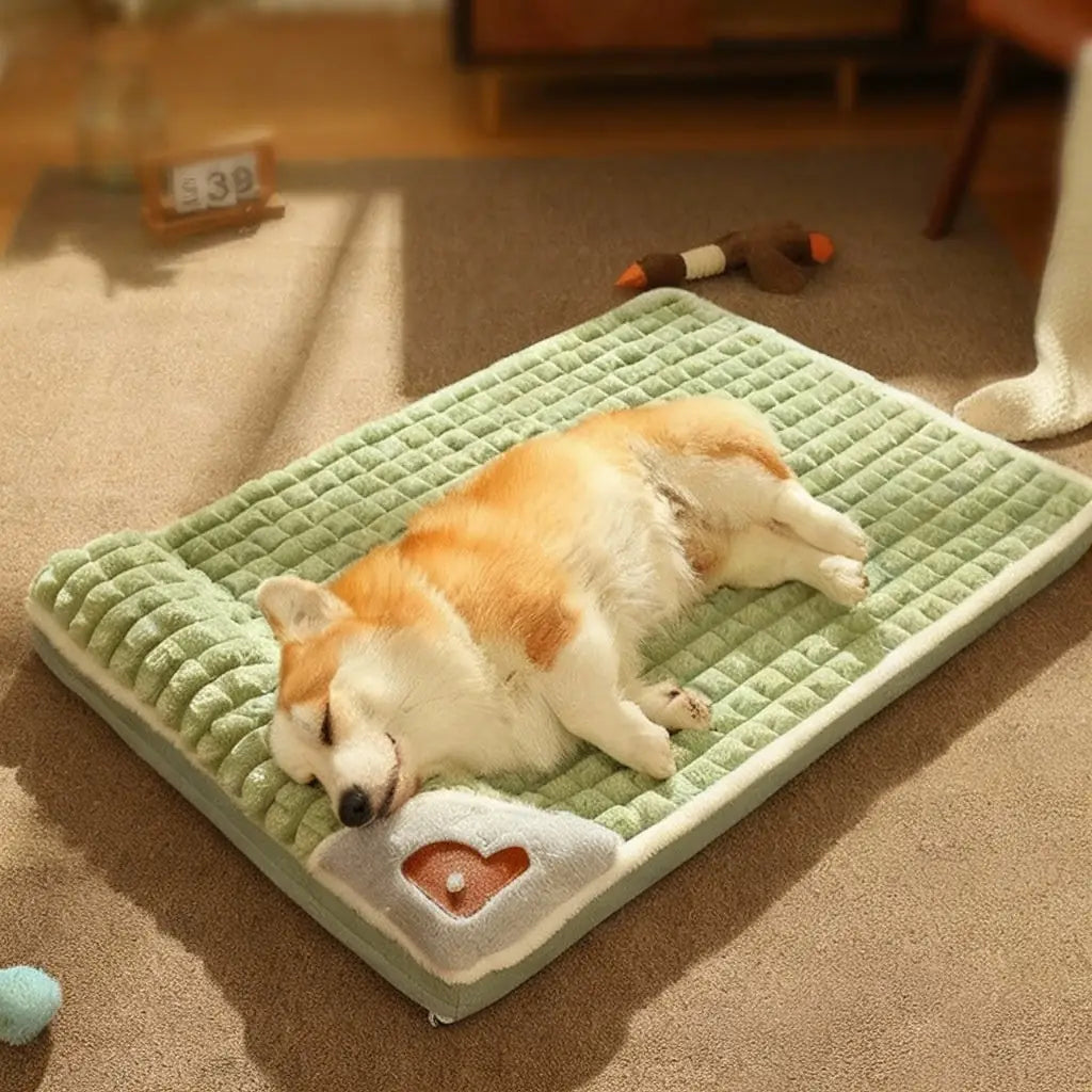 Cozy Avocado Dog Bed - Plush & Washable Pet Mat