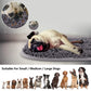Snuffle Mat for Dogs – Nose Work Enrichment Toy for All Breeds